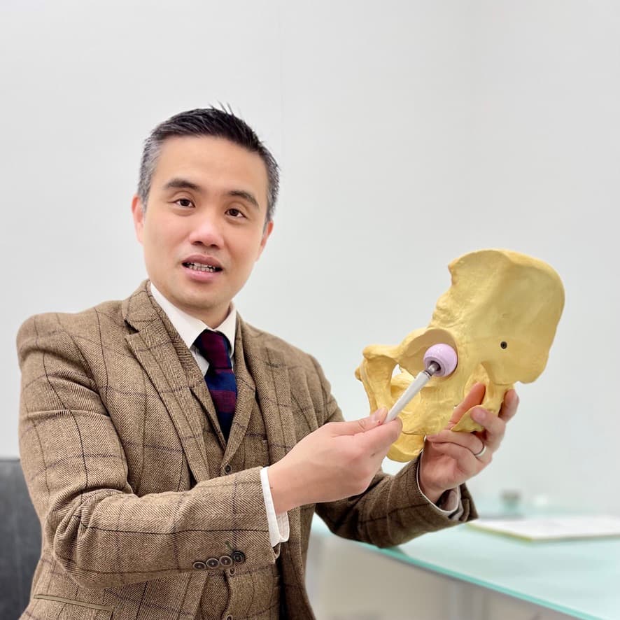 Hip replacement implant demonstration with pelvis model